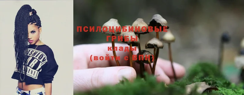 Галлюциногенные грибы Cubensis  omg ссылки  Советская Гавань 